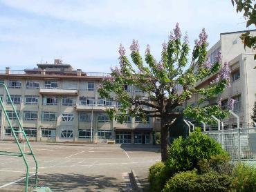 【川越市立中央小学校】徒歩4分！